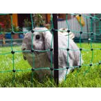 Filet lapin 65 cm, simple pointe, vert, 25 m - kerbl