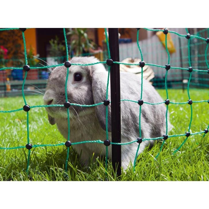 Filet lapin 65 cm, simple pointe, vert, 25 m - kerbl, Dieren en Toebehoren, Stalling en Weidegang
