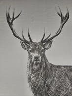 Nieuw arazzo in jacquard van alpaca Il Re della foresta