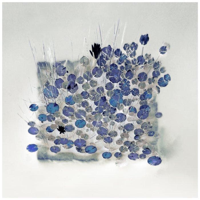 Bernd Lieven - The Rise of Waterlilies Edition No II, Antiquités & Art, Art | Objets design