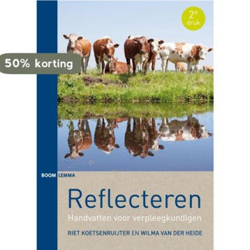 Reflecteren 9789462363939 Riet Koetsenruijter, Verzenden, Zo goed als nieuw, Riet Koetsenruijter