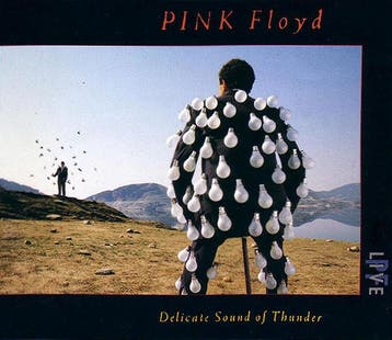 Pink Floyd – Delicate Sound Of Thunder (CD, 1988), Cd's en Dvd's, Verzenden, Gebruikt