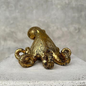 sculptuur, NO RESERVE PRICE - A Polished Octopus Sculpture