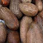 Sikkim pompoen 100 zaden, Nieuw