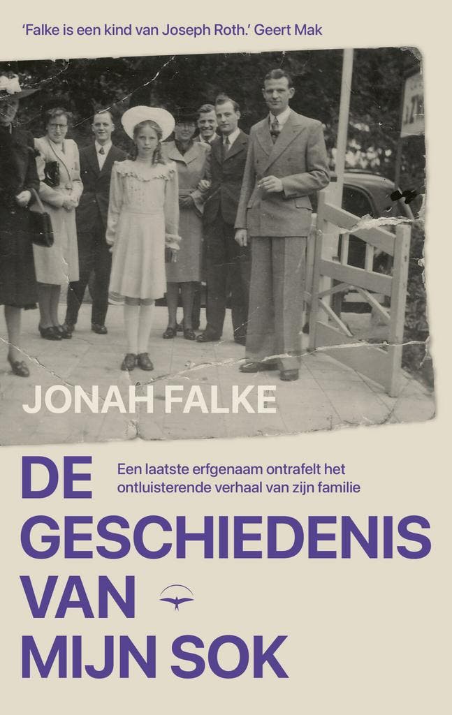 De geschiedenis van mijn sok (9789400408609, Jonah Falke), Livres, Romans, Envoi