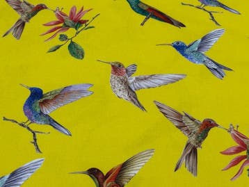 Tropische stof “Golden Hummingbirds” – Veelkleurige
