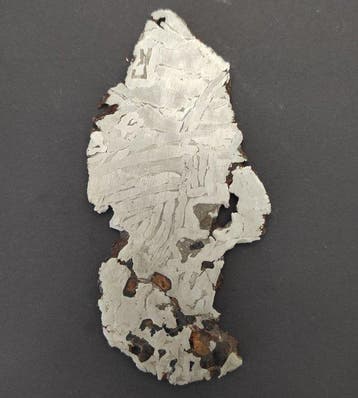 Seymchan meteoriet Plak - Hoogte: 0.03 cm - Breedte: 7 cm-