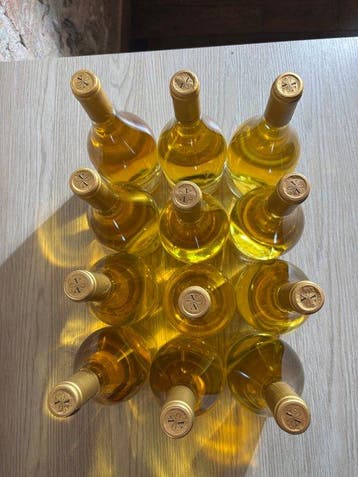 2021 Viticcio Vermentino Toscana - Toscane IGT - 12, Nieuw
