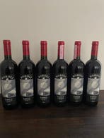 2007 Achille Boroli, Cerequio - Barolo DOCG - 6 Bouteilles