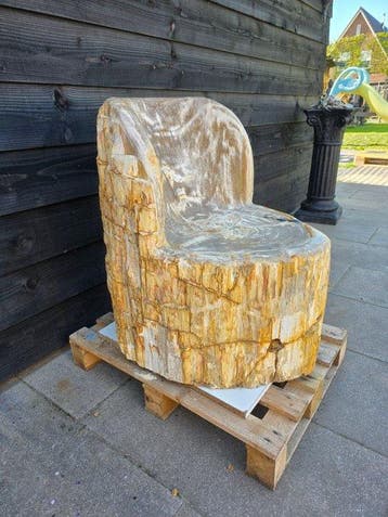 Stoel - Versteend fossielhout - Fossiel hout