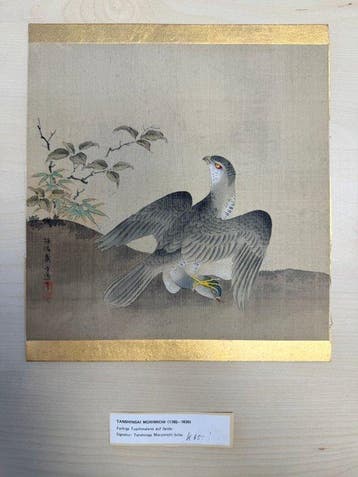 Takagari - Zijde - Tanshinsai Morimichi (Kano Morimichi,