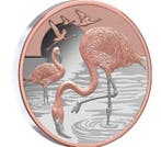 Niue. 1 Dollar 2025 – Flamingos – 1 oz Silver .999 – Proof –