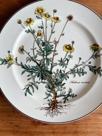 Villeroy & Boch - Tafelservies (4) - Botanische plaat -
