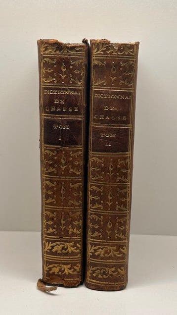 Anonyme - Dictionnaire théorique et pratique de chasse et de