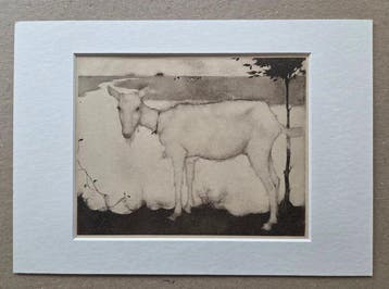 Jan Mankes (1889-1920) - Geit