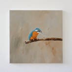 Matthieu van Riel - Kingfisher sitting on a Branch