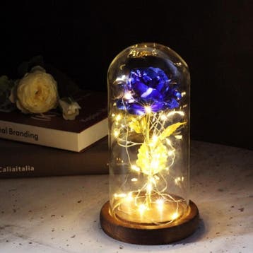 Kunst Roos in Glazen Stolp met Verlichting - Zijden Rozen, Verzenden, Nieuw