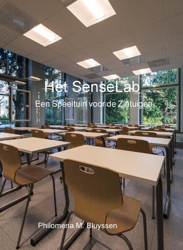 Het SenseLab 9789065624123 Philomena M. Bluyssen, Verzenden, Zo goed als nieuw, Philomena M. Bluyssen
