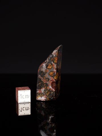 Météorite de Sericho Pallasites - 38 g - (1)