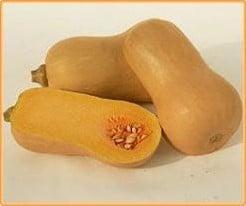 Butternut Victory F1 flespompoen basiseenheid, Nieuw