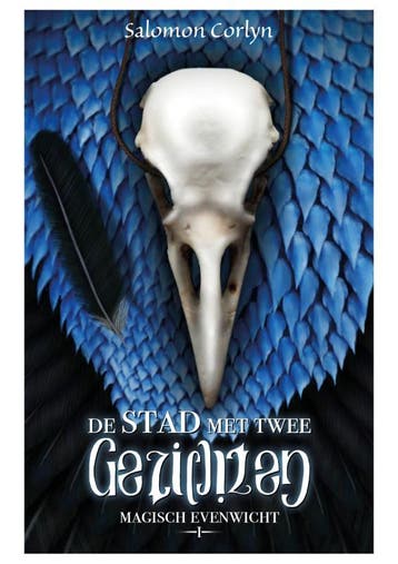 De stad met twee gezichten / Magisch evenwicht / 1, Boeken, Verzenden, Zo goed als nieuw, Salomon Corlyn