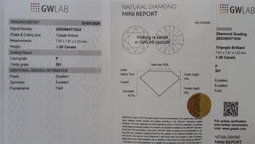 1 pcs Diamant (Naturelle) - 1.20 ct - Triangle - F - SI1 -