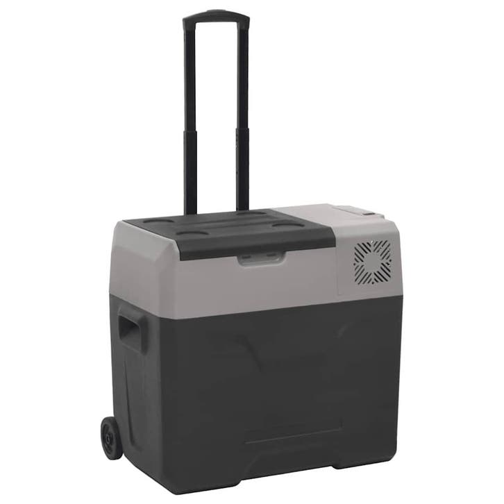 vidaXL Koelbox met wielen en handvat 40 L polypropeen zwart, Electroménager, Réfrigérateurs & Frigos, Envoi