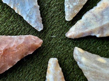 Sahara Silex Pijlpunt - 56 mm (Zonder minimumprijs)