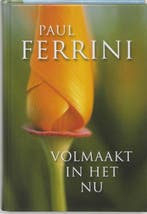 Volmaakt in het nu - Paul Ferrini - 9789020283716 - Hardcove, Verzenden, Nieuw