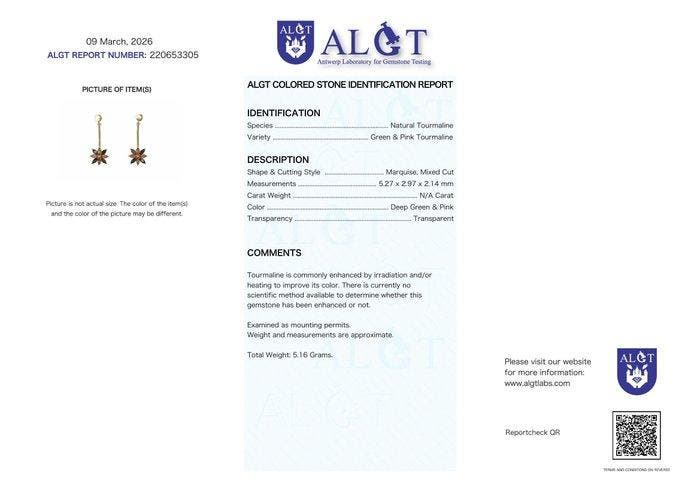 Zonder minimumprijs - Oorbellen Zilver - Toermalijn -, Handtassen en Accessoires, Oorbellen