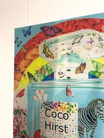 Van Apple - Coco Hirst