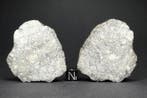 Meteoriet NWA 15658, eucriet, asteroïde Vesta gesplitst. -