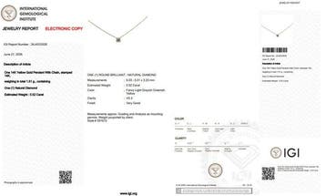 Sans prix de réserve - Collier avec pendentif - 14 carats Or