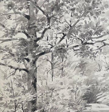 Louise Abbéma (1853-1927). - Paysage de foret (sans prix de, Antiek en Kunst