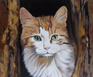 Opariy Alena Yurevna (1978) - Famiglia di gatti - NO RESERVE