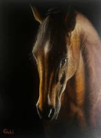 Gulina Keneshbekova (XX) - Noble Horse