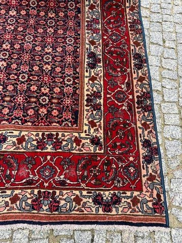 Uniek Indo-Bidjar tapijt lijkt op kasjmier. - Tapijt - 330, Nieuw