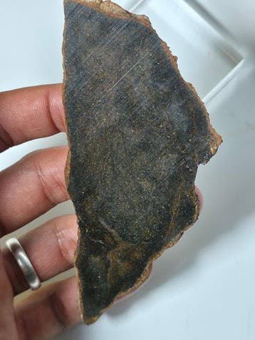 NWA 16900 Acondrita primitiva (Brachinita) - 41 g - (1)