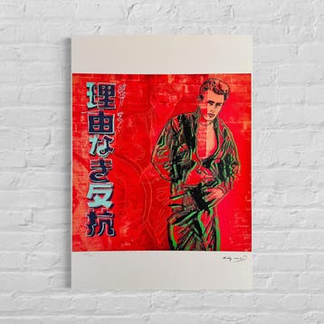 Andy Warhol James Dean Lithografie Arches 300gsm 42x59 cm