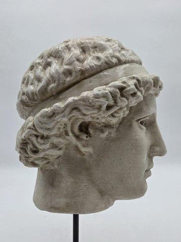sculptuur, Testa di Atena - 34 cm - marmerpoeder