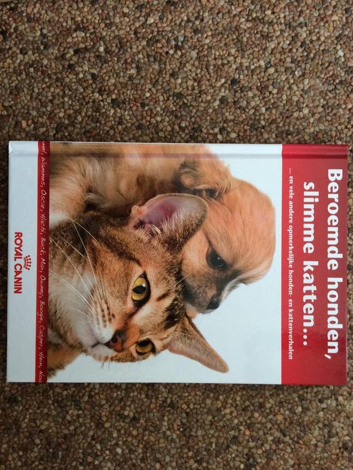 Beroemde honden, slimme katten ... 8714231634706, Livres, Loisirs & Temps libre, Envoi