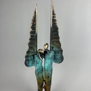 Dariusz Zielinski - we can fly only together. bronze