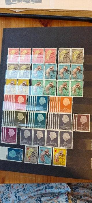 Nederlands-Nieuw-Guinea 1950/1962 - Vrijwel complete