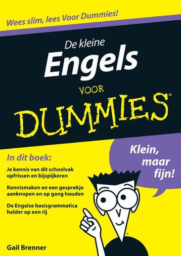 De kleine Engels voor Dummies / Voor Dummies 9789043020800, Verzenden, Gelezen, Gail Brenner