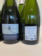 Domaine de Rochebin, Crémant Brut de Bourgogne. Blanc de, Nieuw
