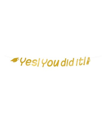 Geslaagd Letterslinger Yes You Did It 2,5m, Verzenden, Nieuw