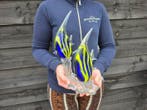 Statue, Glass Art - Fish - 32 cm - Résine - 2026