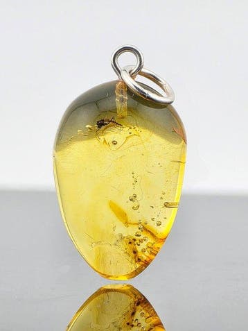 Lichtgevend Baltisch Amberhanger – Oude mug-inclusie –
