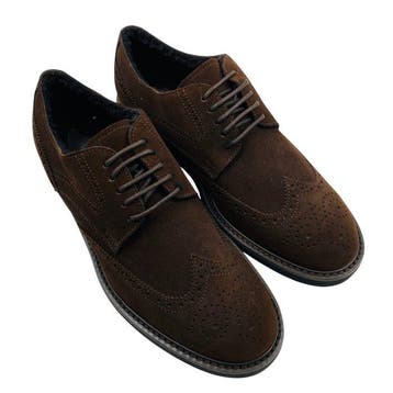 Tods - Veterschoenen - Maat: EU 41 - Nieuw in doos