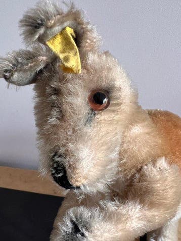 Steiff - Speelgoed Steiff kangoeroe ‘Kangoo’ - 1960-1970 -